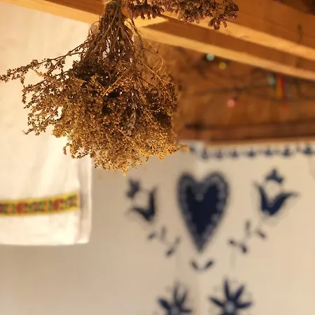 بيت خشبي Folklorna Chyza